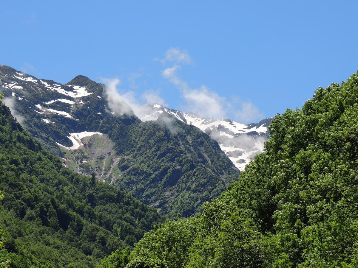 Auberge Les Myrtilles Couflens Bagian luar foto