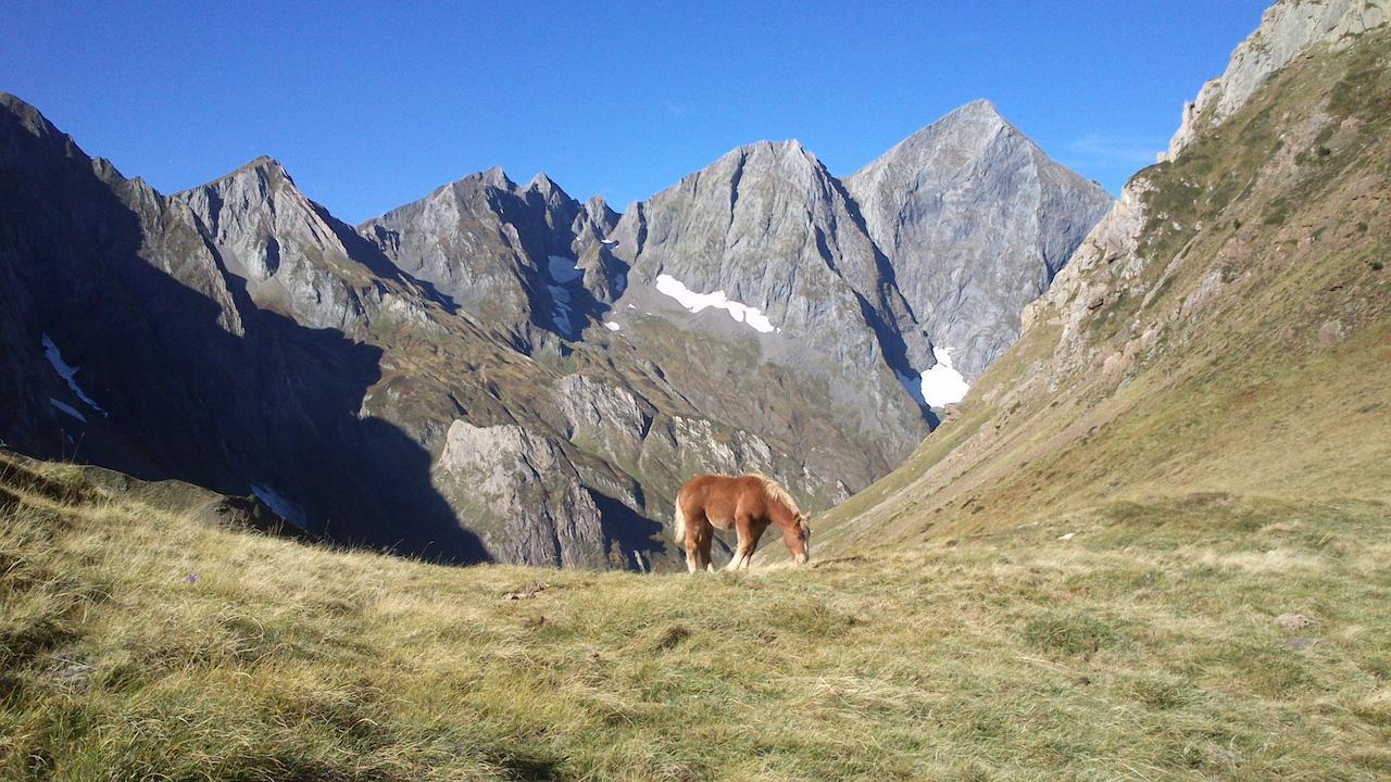 Auberge Les Myrtilles Couflens Bagian luar foto