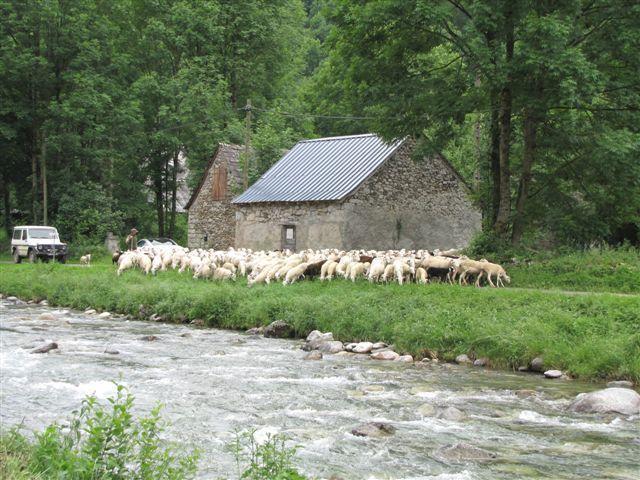 Auberge Les Myrtilles Couflens Bagian luar foto
